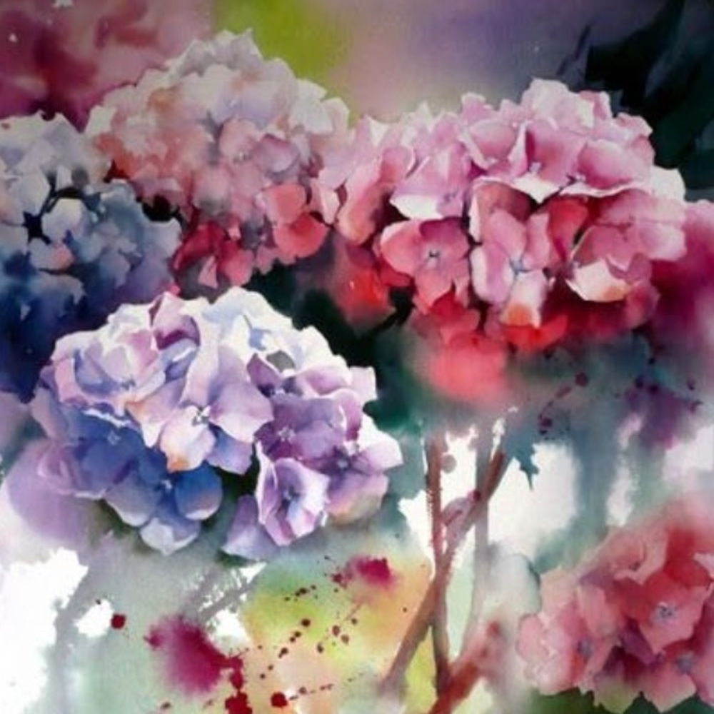 Meet your Posher, Alexandra